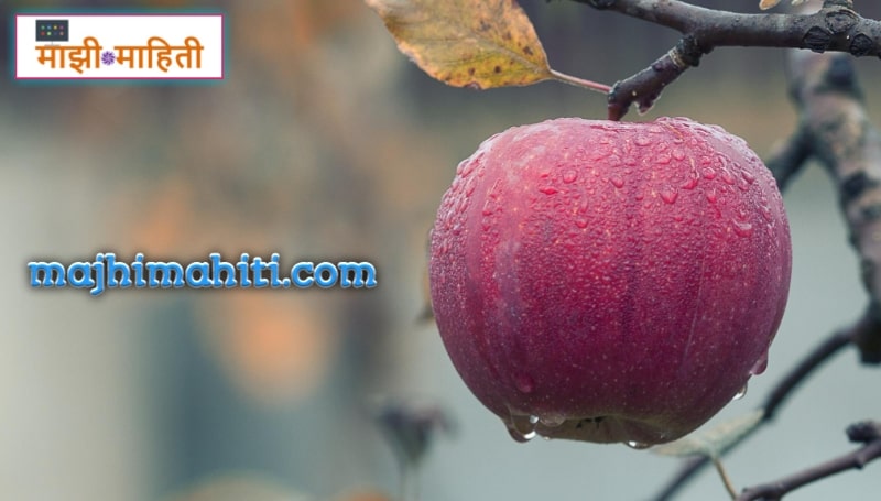 benefits-of-apple-in-marathi