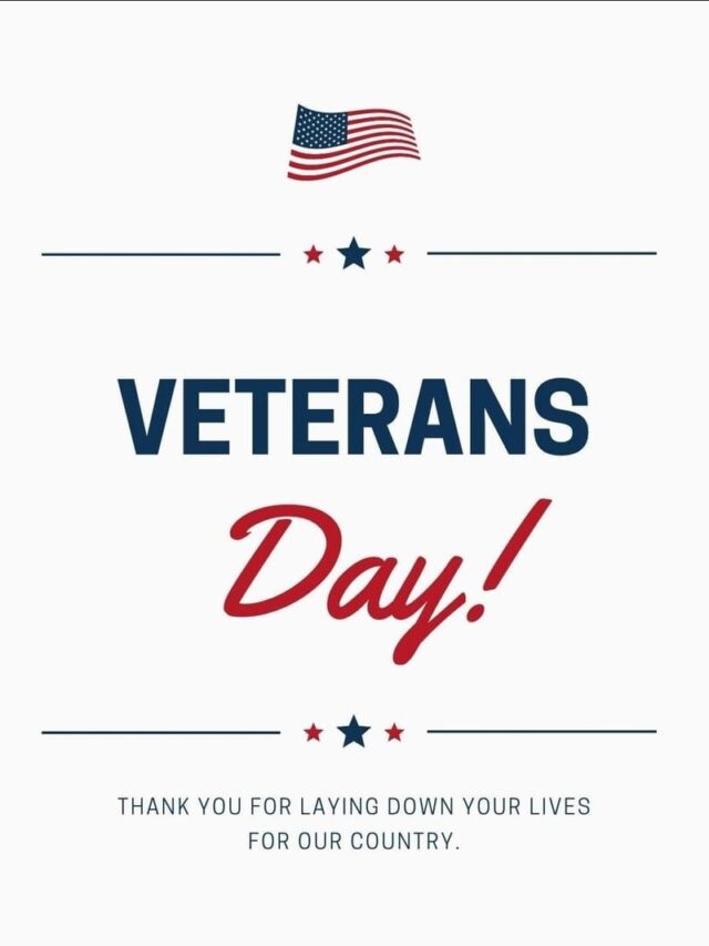 Veterans day art projects for high school